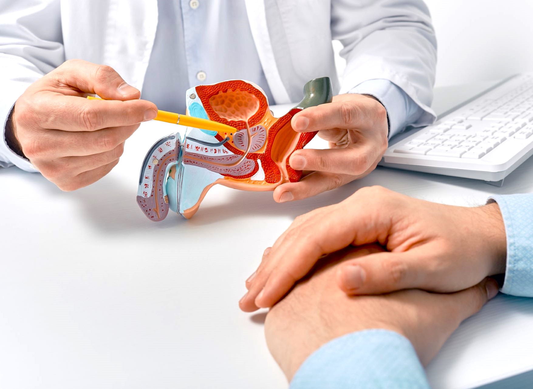 prostate health